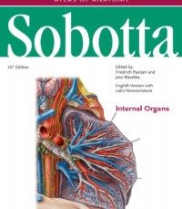 Sobotta Organ Interna